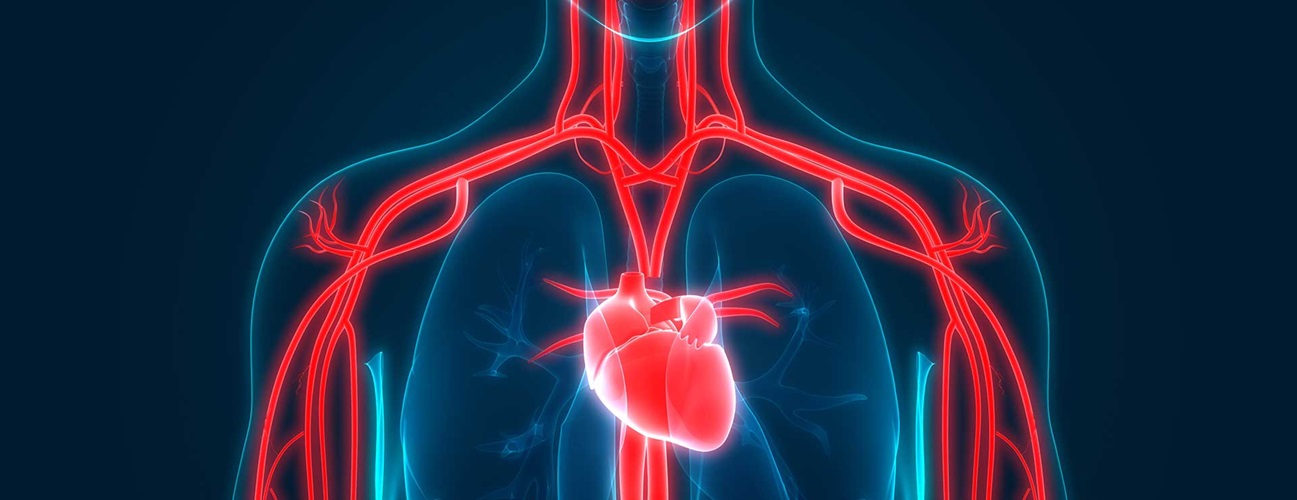 Guidelines For Heart Health