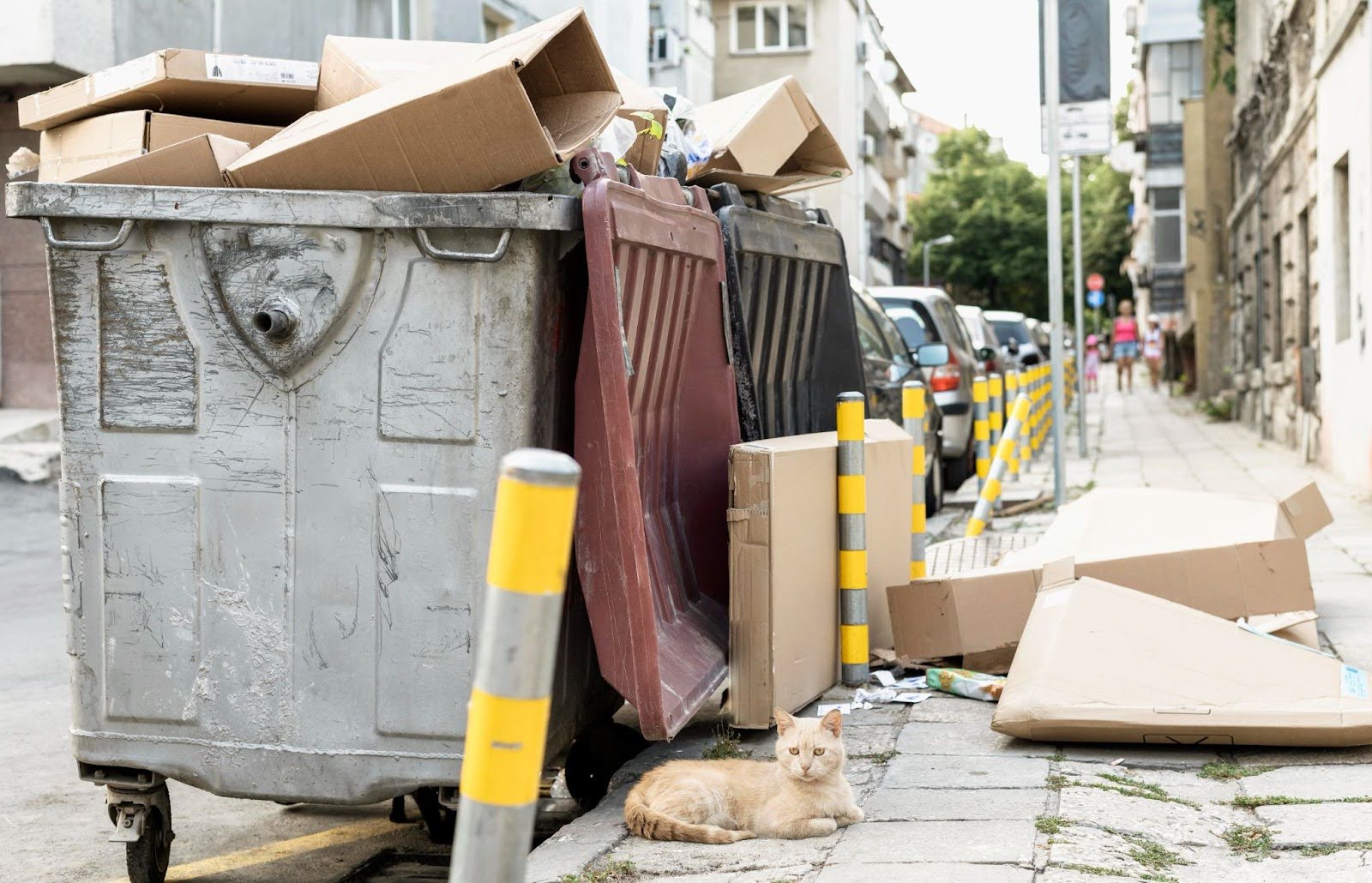 5 Benefits of Hiring Experts for Junk Removal