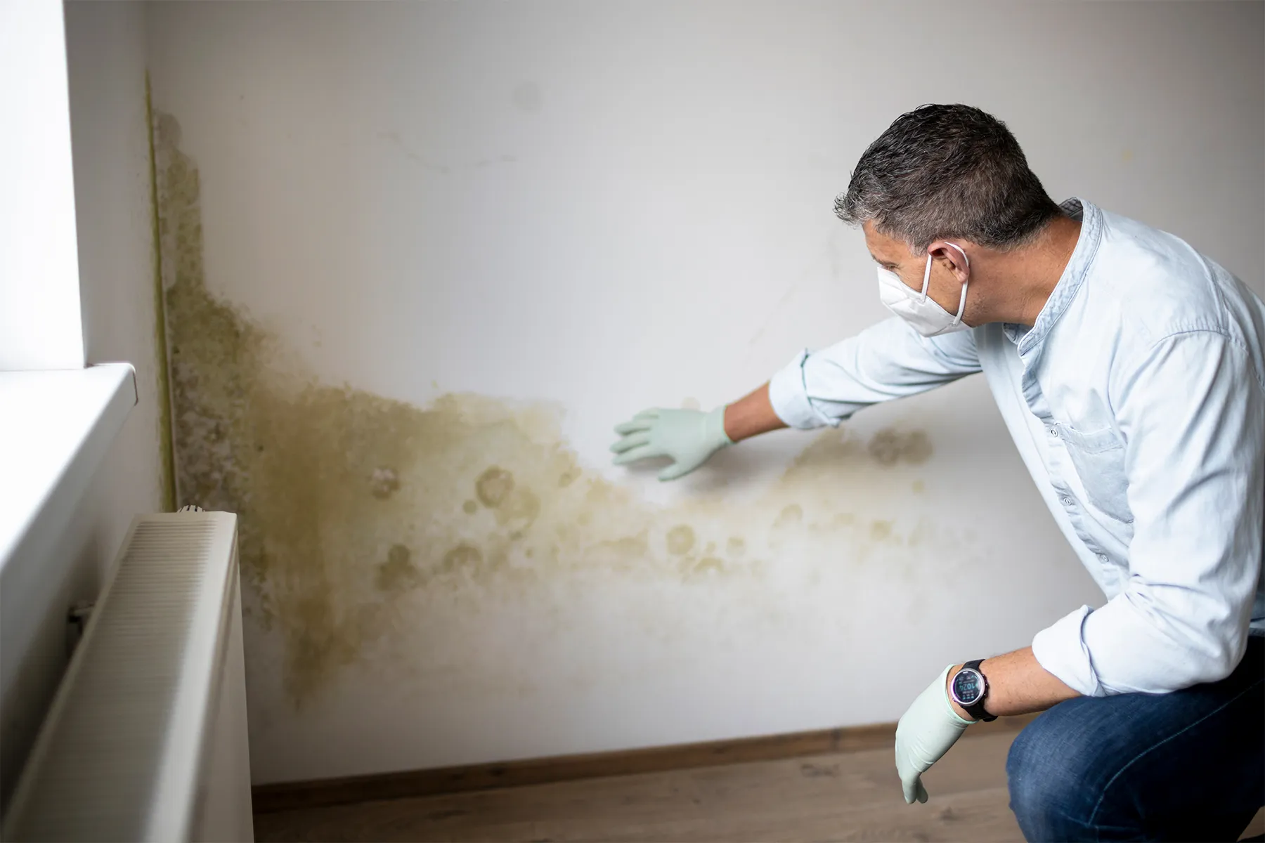 mold